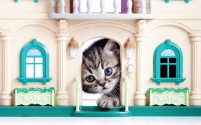 Kitty in Castle
